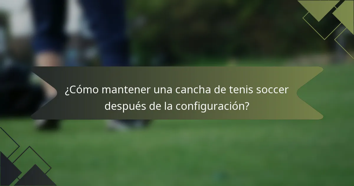 ¿Cómo mantener una cancha de tenis soccer después de la configuración?