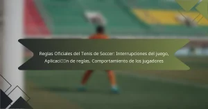 Reglas Oficiales del Tenis de Soccer: Interrupciones del juego, Aplicación de reglas, Comportamiento de los jugadores